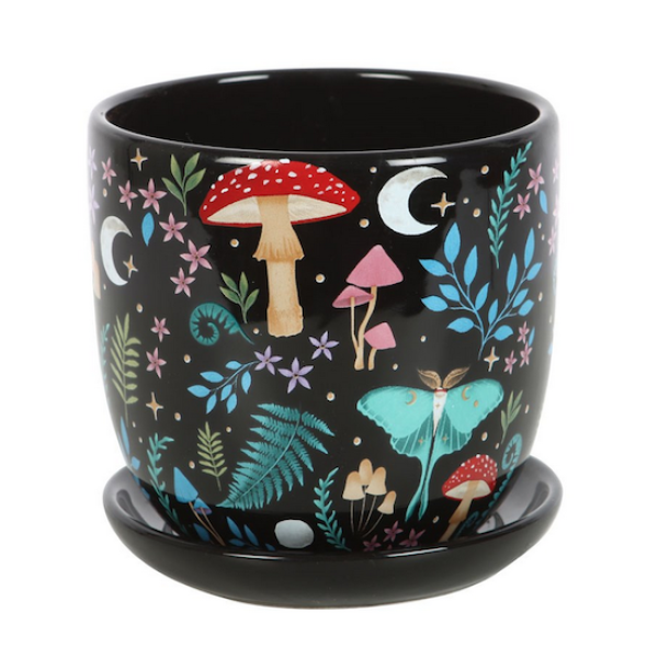 Dark Forest Ceramic Plant Pot and Saucer